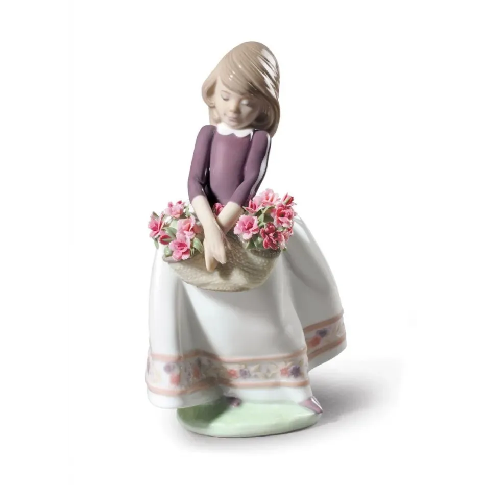 May Flowers (Special Edition)