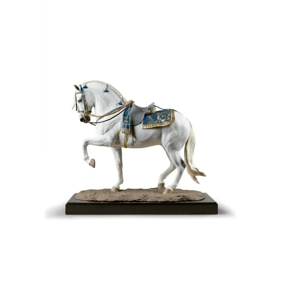 Spanish Pure Breed (Special Order)