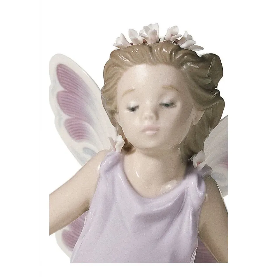 Butterfly Wings