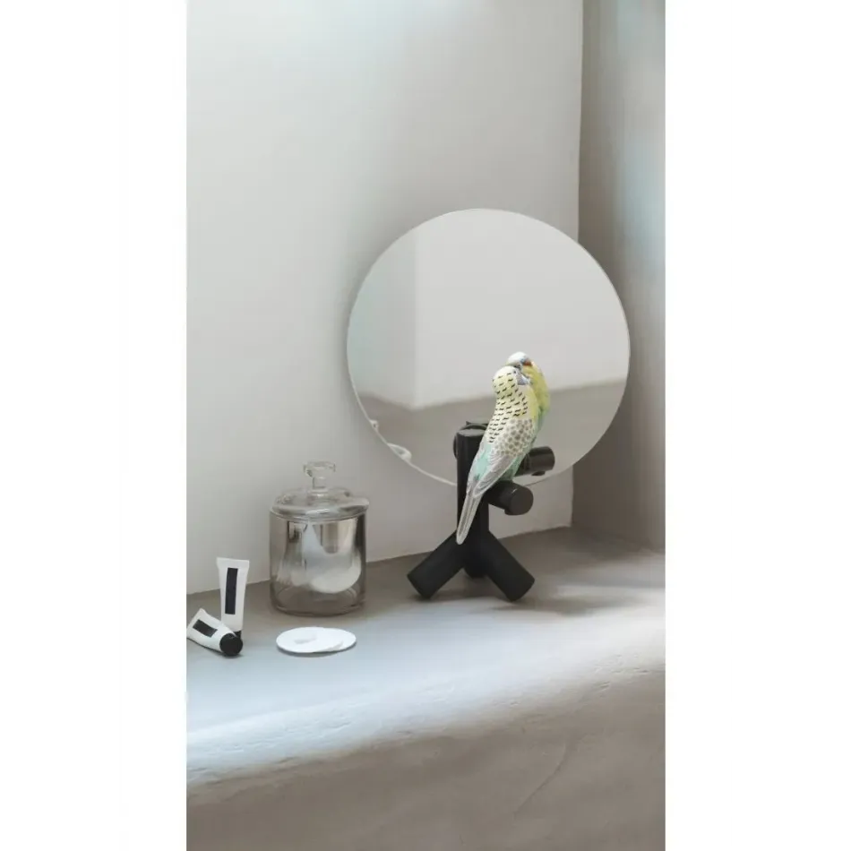 Parrot Vanity
