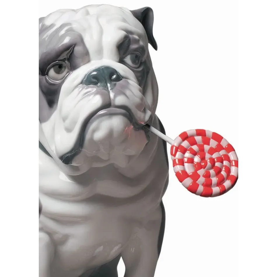 Bulldog With Lollipop