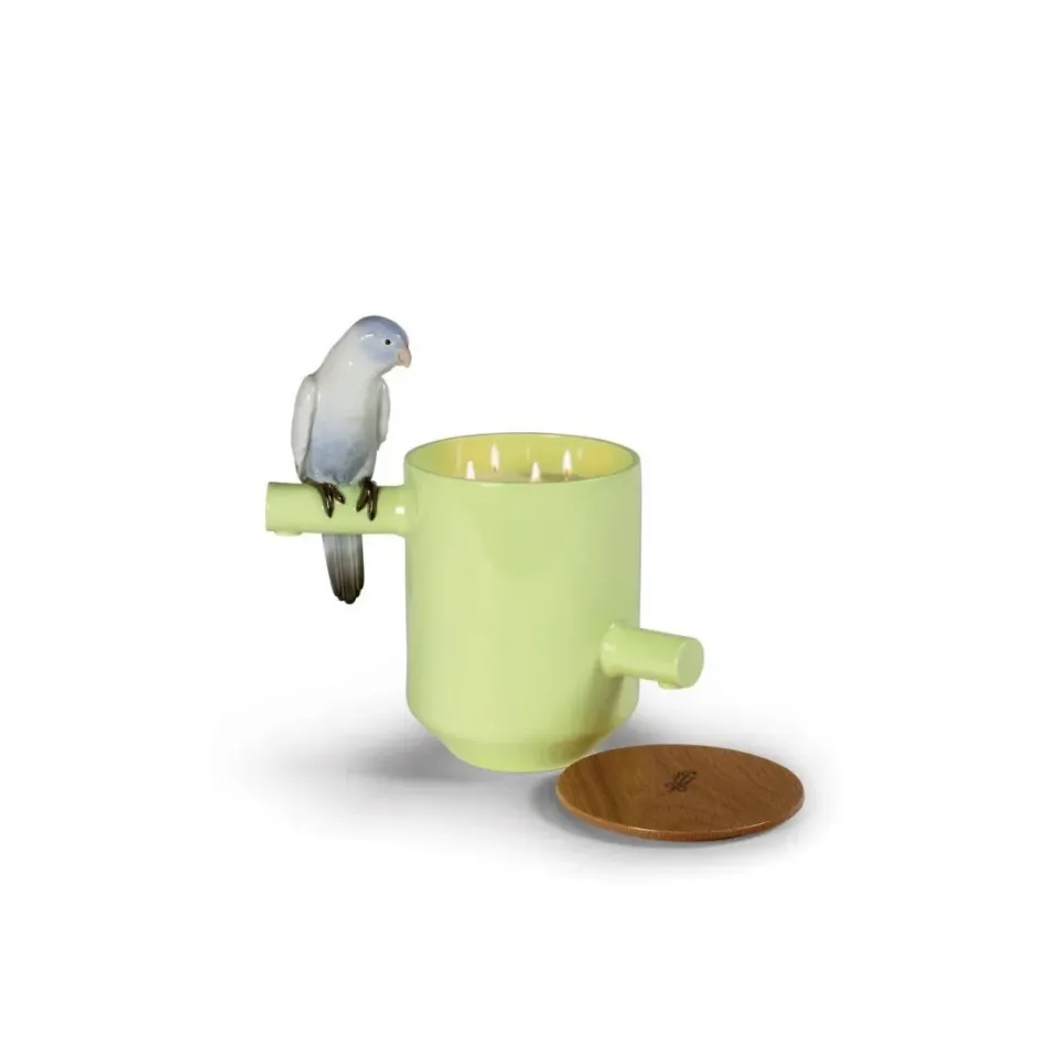 Parrot's Scented Treasure (Green)