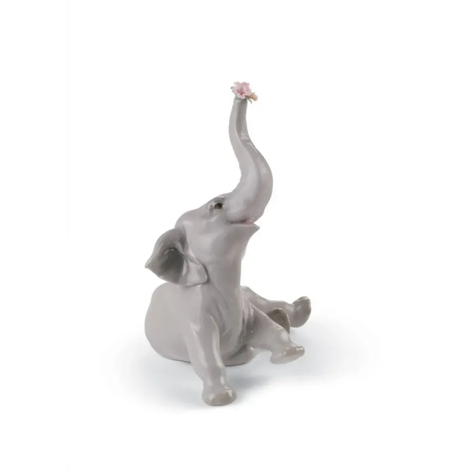 Baby Elephant With Pink Flower
