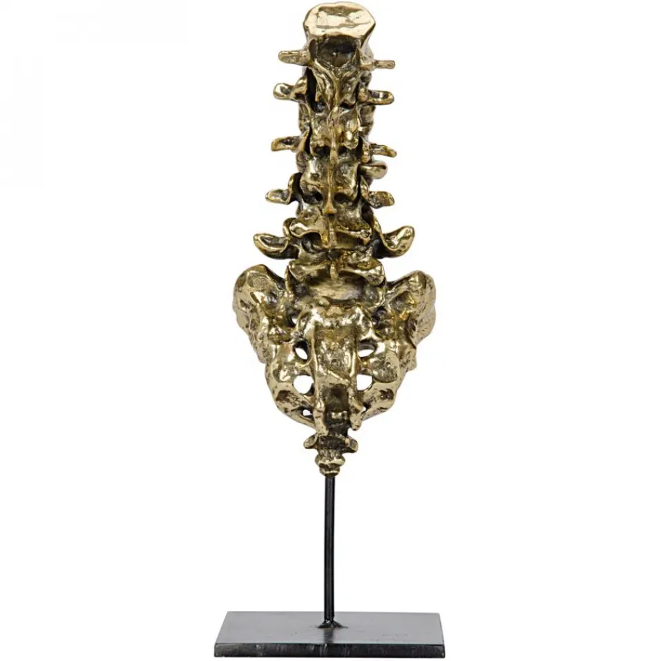 Vertebrae, Brass and Metal