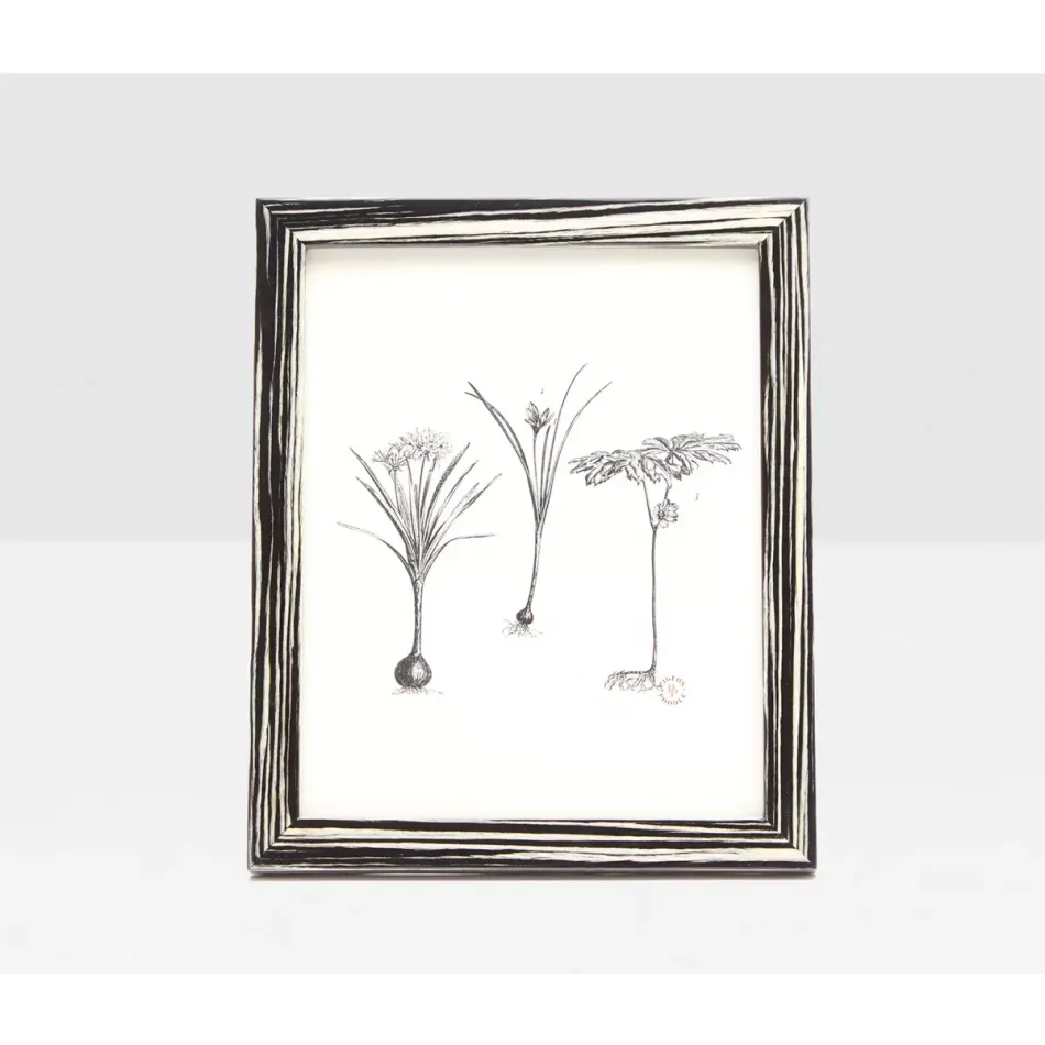 Steinfeld Black/White Frame 8"L x 10"H