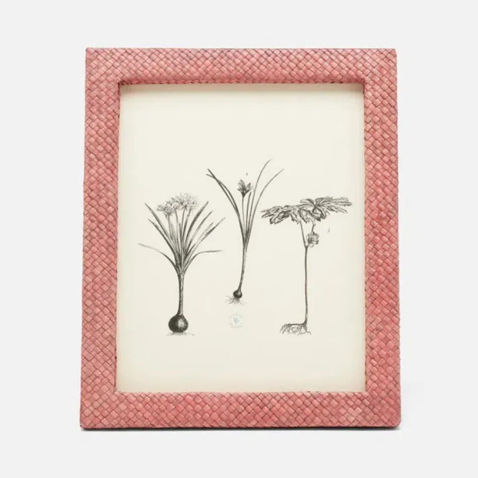 Uvita Vintage Rose Frame 8"L x 10"H