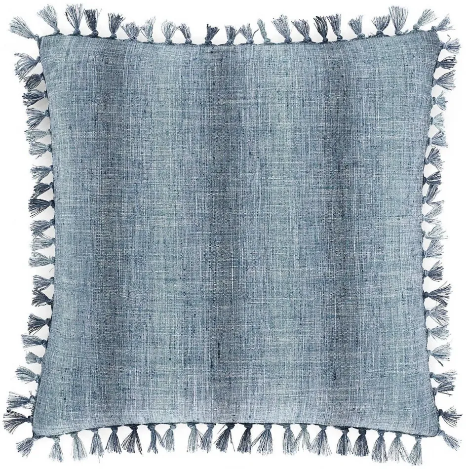 Coronado Indigo Indoor/Outdoor Decorative Pillow