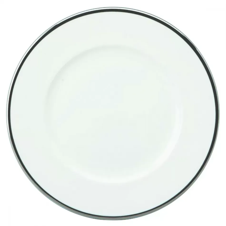 Comet Platinum Dinnerware