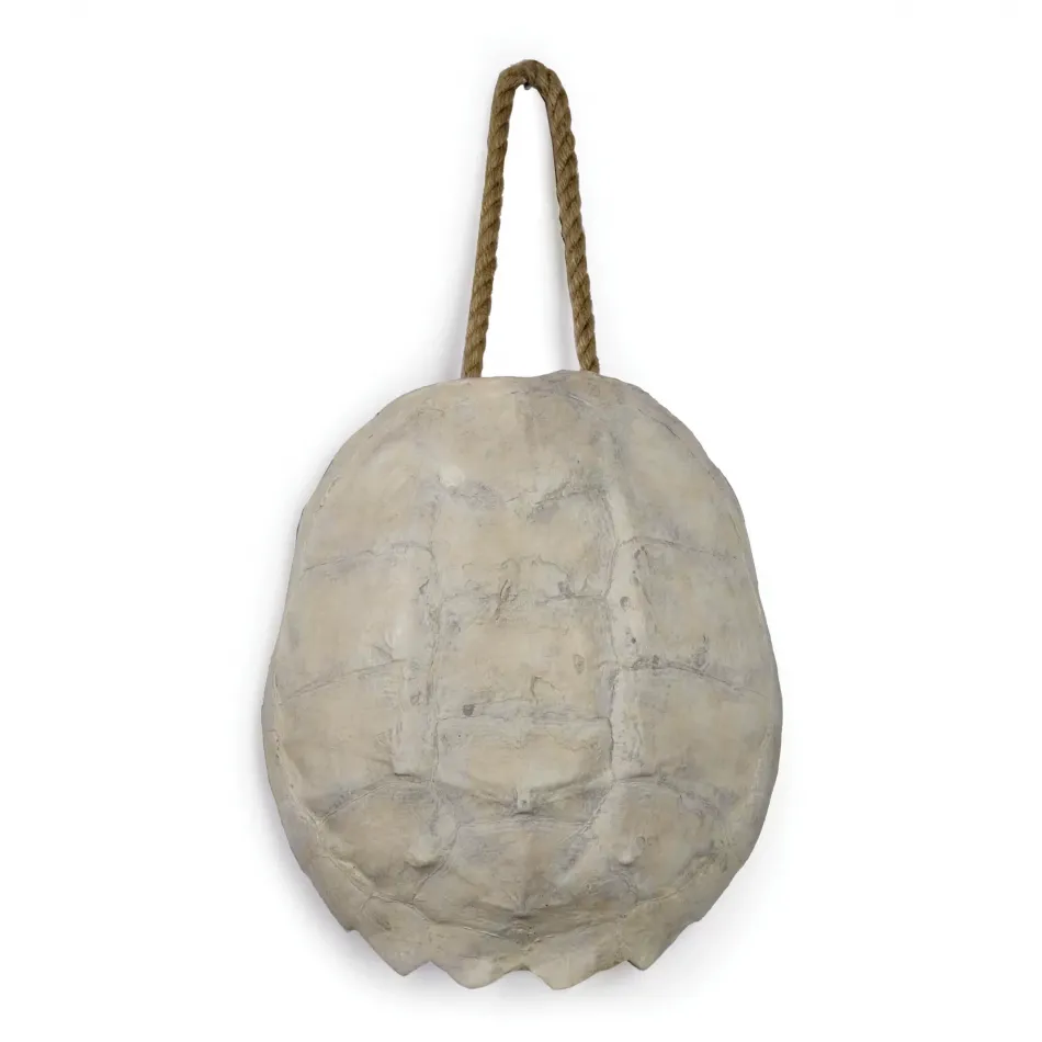 Turtle Shell Accessory, Bleached