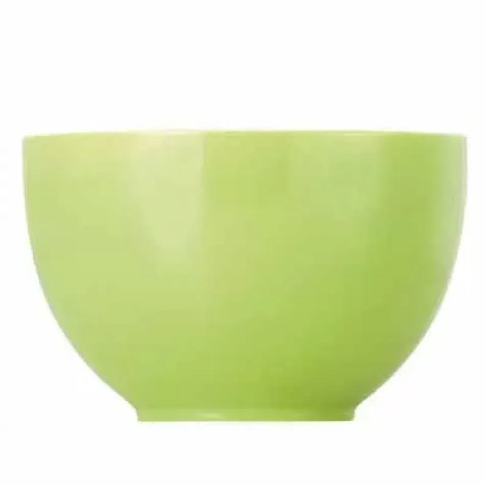 Sunny Day Apple Green Fruit/Cereal bowl Round 4.75, 15 oz