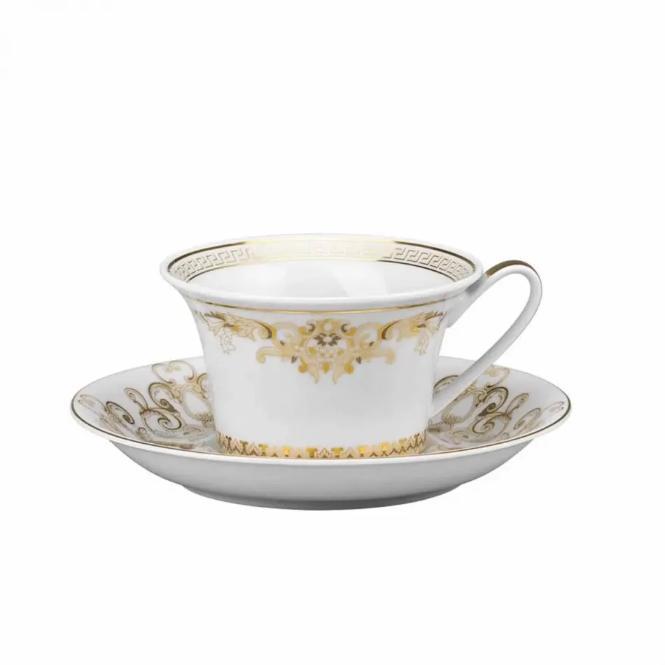 Medusa Gala Tea Cup & Saucer 6 1/4 in 7 oz