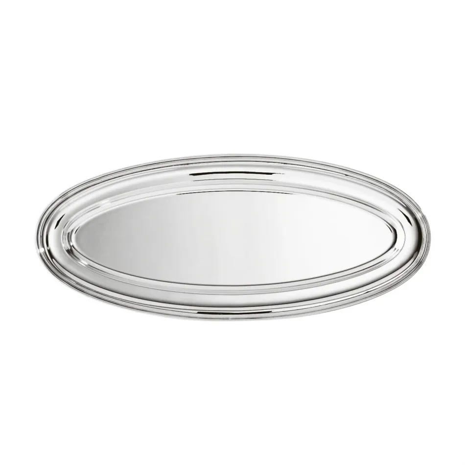 Contour Fish Dish 21 5/8X9 Epns