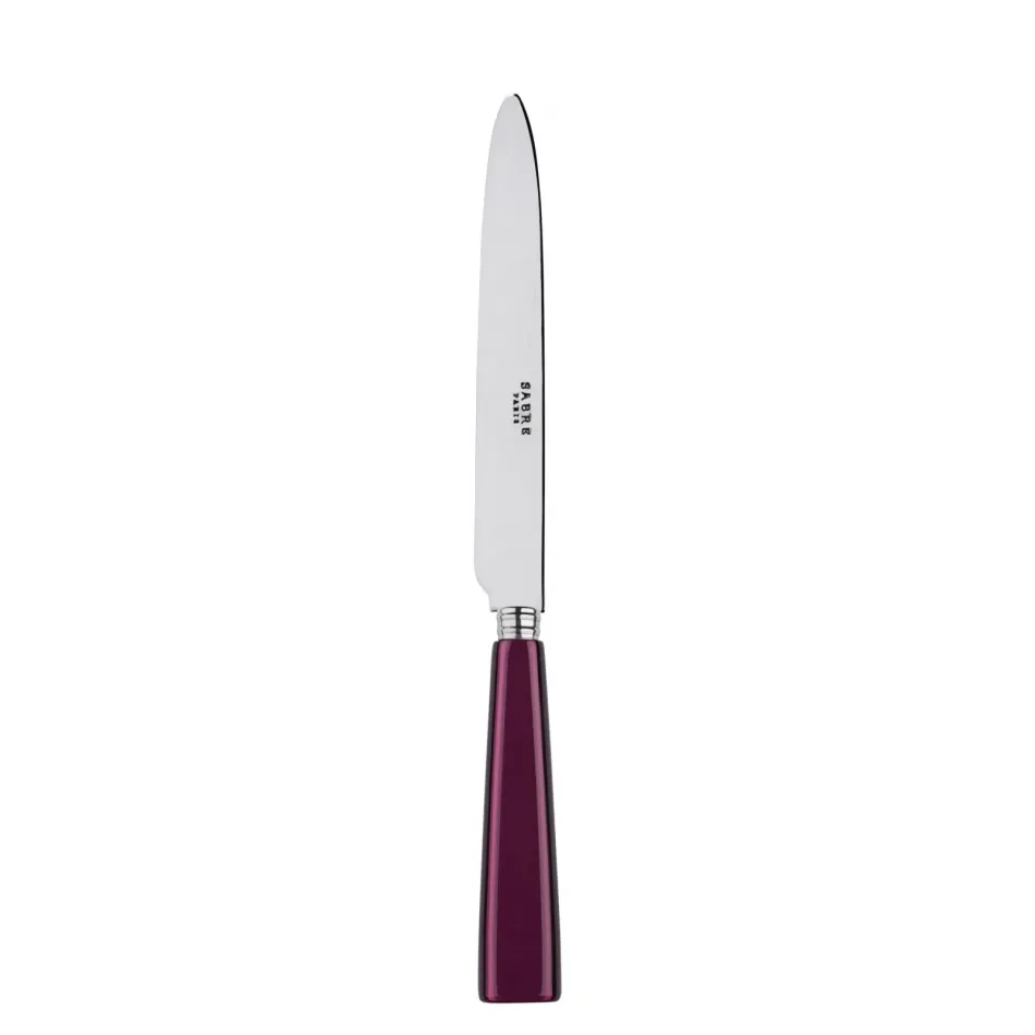 Icon Aubergine Dinner Knife 9.25"