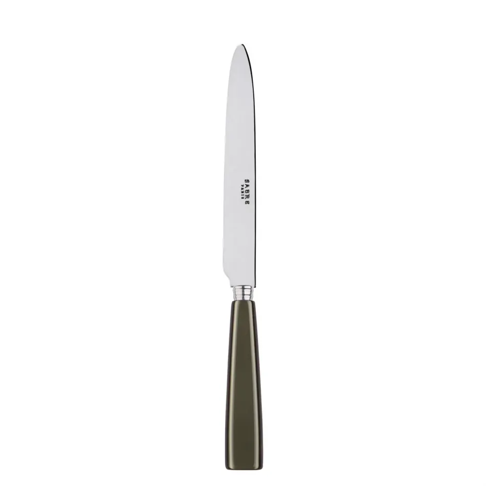 Icon Olive Dinner Knife 9.25"