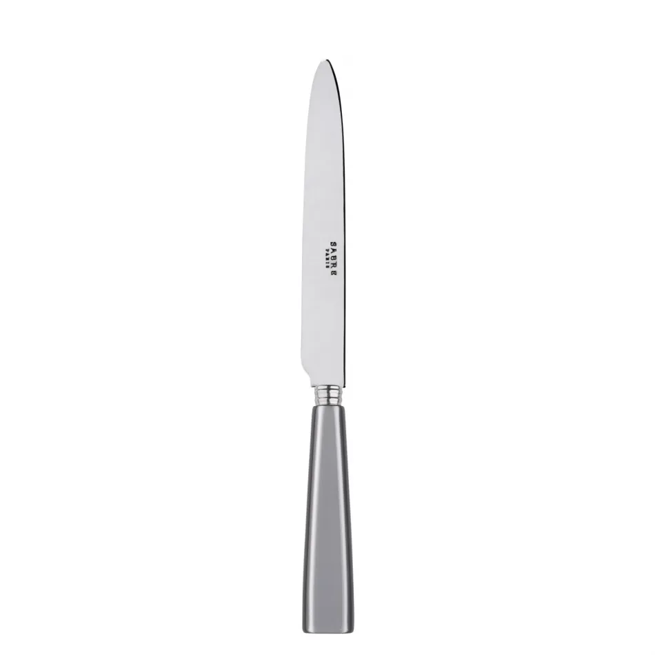 Icon Grey Dinner Knife 9.25"