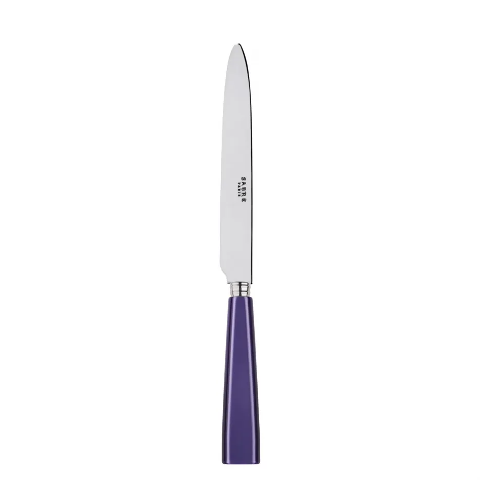 Icon Purple Dinner Knife 9.25"