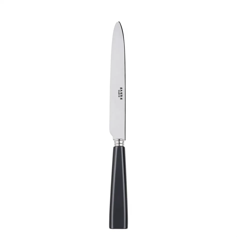 Icon Dark Grey Dinner Knife 9.25"