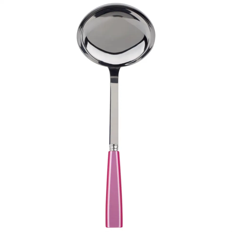 Icon Pink Ladle 10.5"