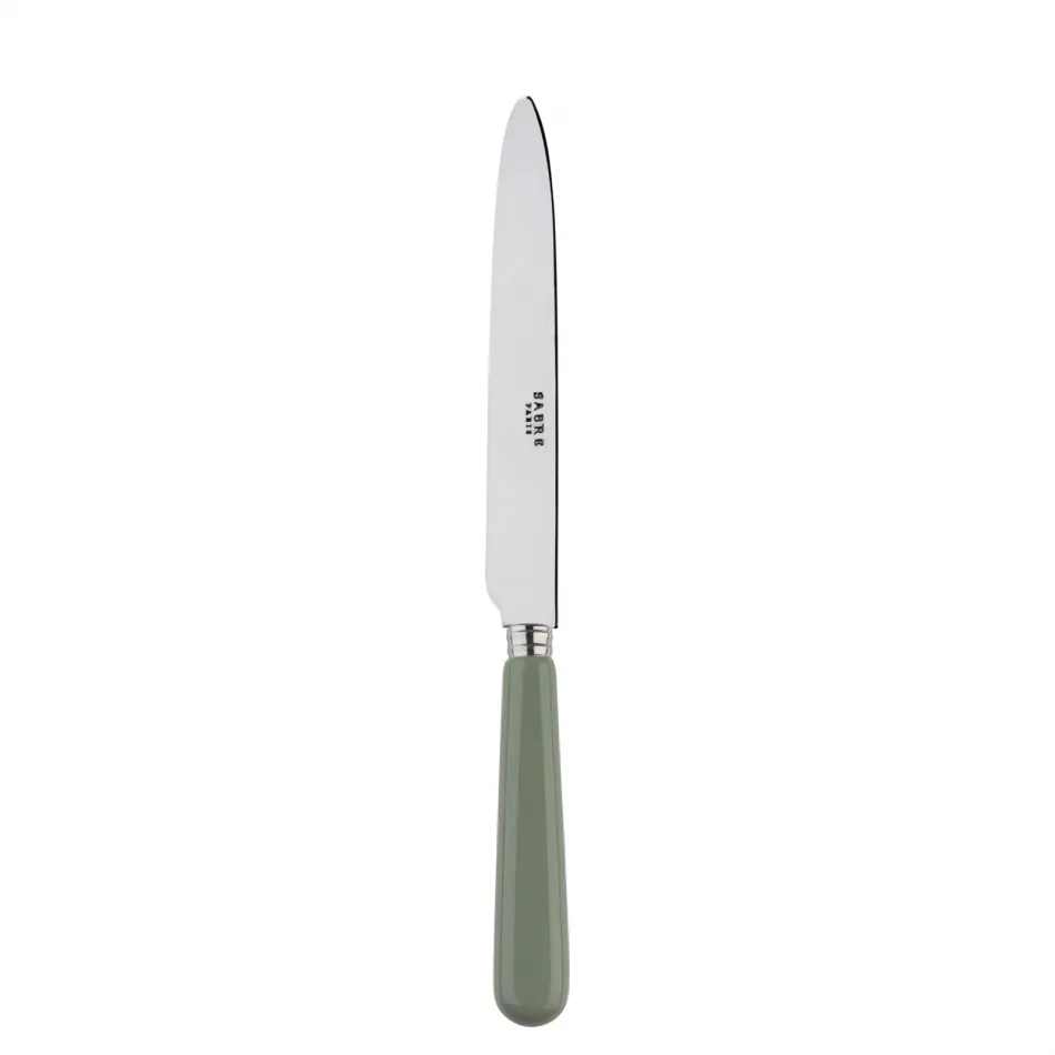 Basic Asparagus Dinner Knife 9.25"