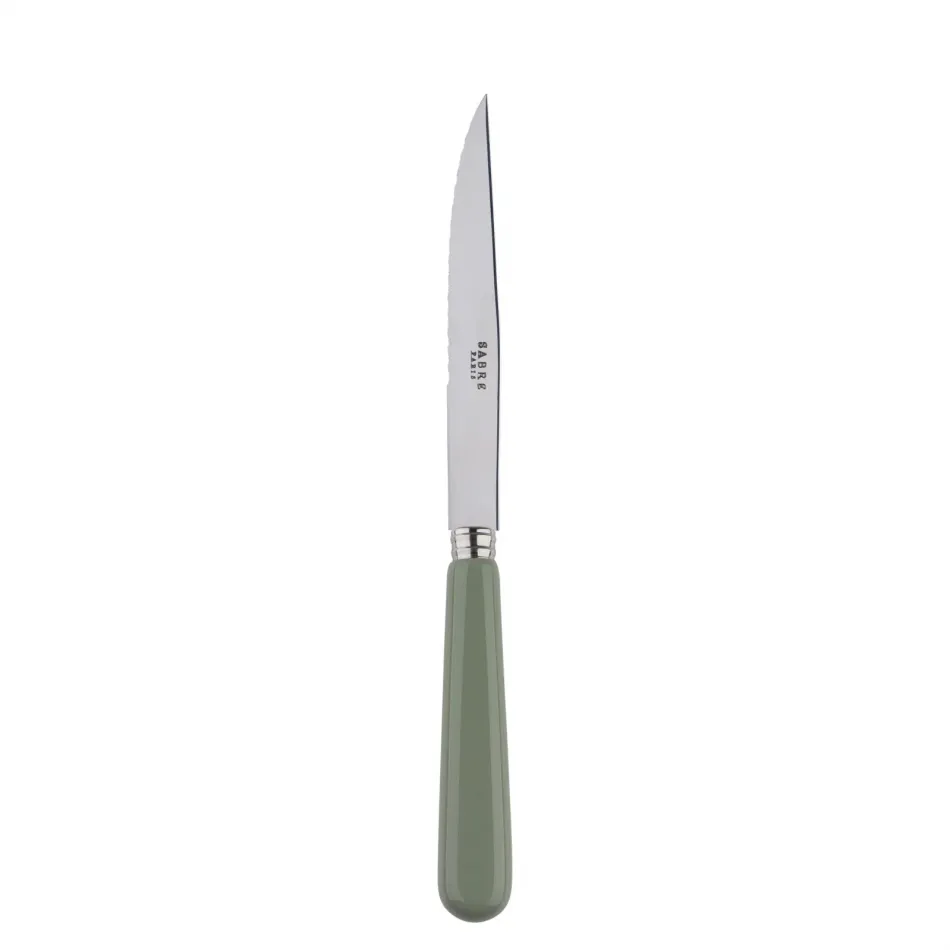 Basic Asparagus Steak Knife 9"