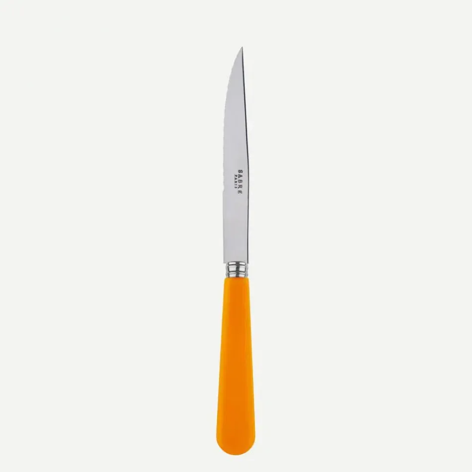 Duo Orange Steak Knife