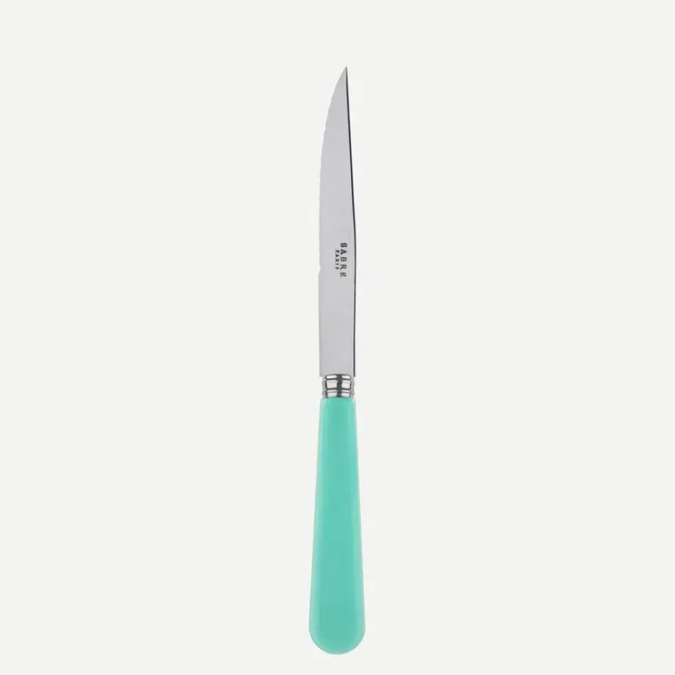 Duo Turquoise Steak Knife