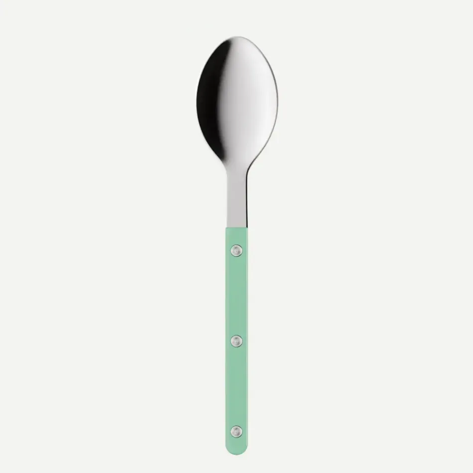 Bistrot Solid Pastel Green Soup Spoon 8"1/2