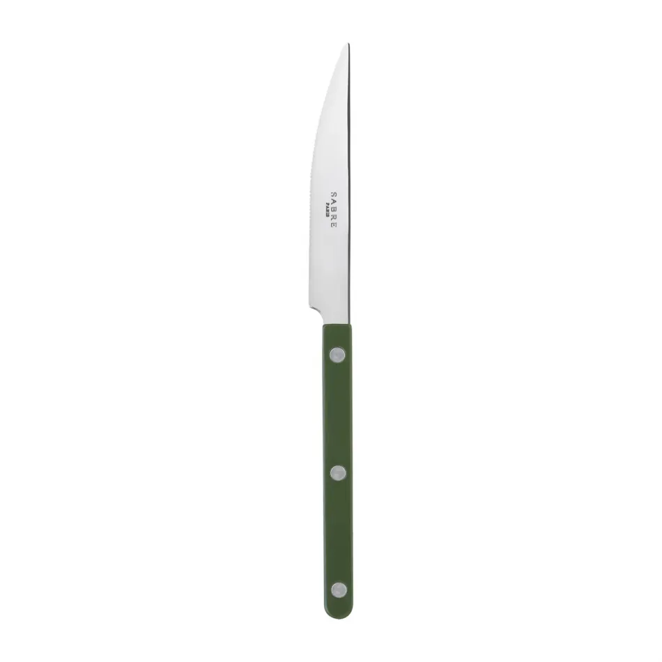 Bistrot Shiny Green Dinner Knife 9.25"