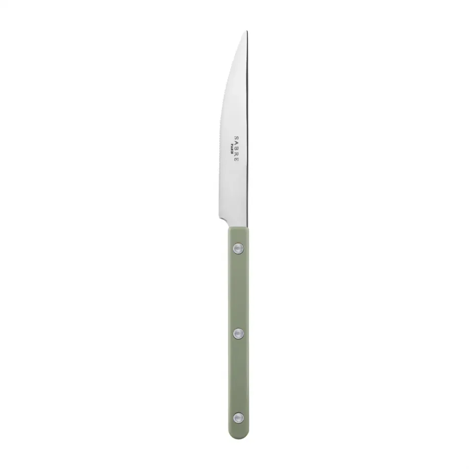 Bistrot Shiny Asparagus Dinner Knife 9.25"