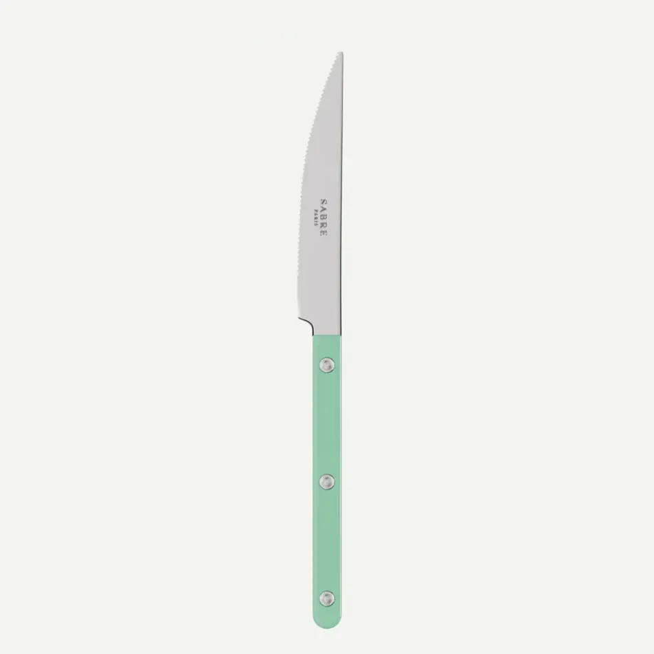 Bistrot Solid Pastel Green Dinner Knife 9"1/4