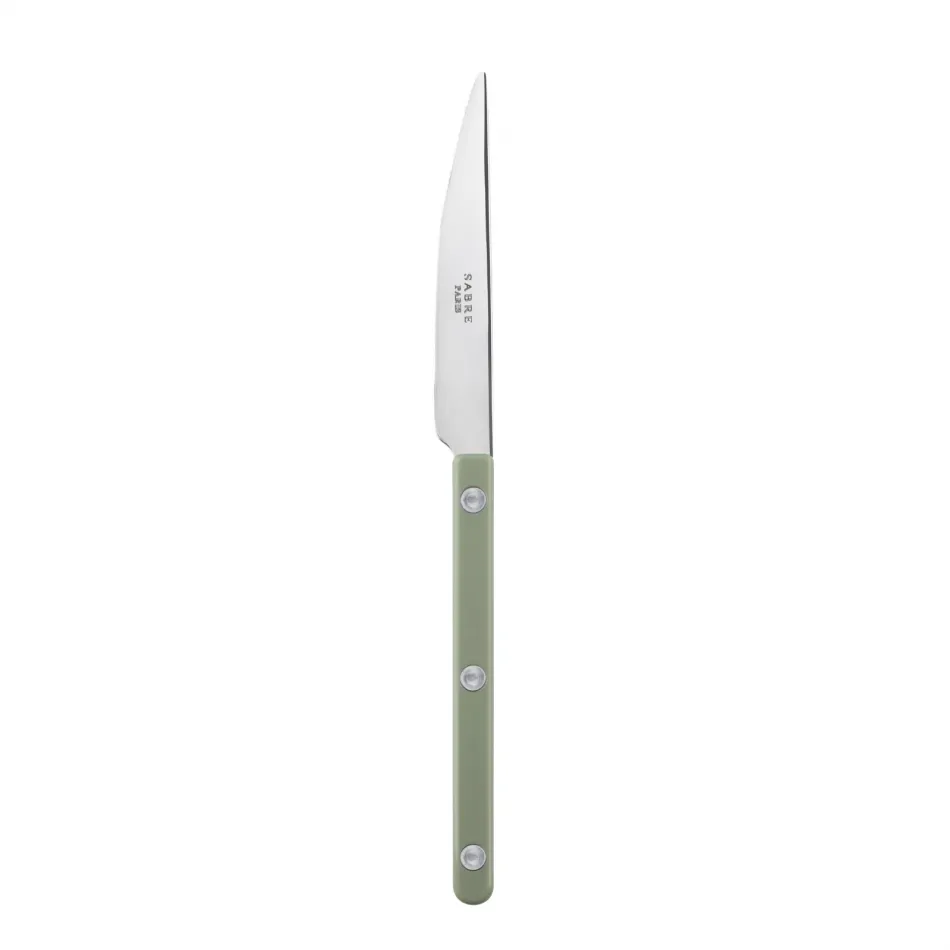 Bistrot Shiny Asparagus Dessert Knife 8"