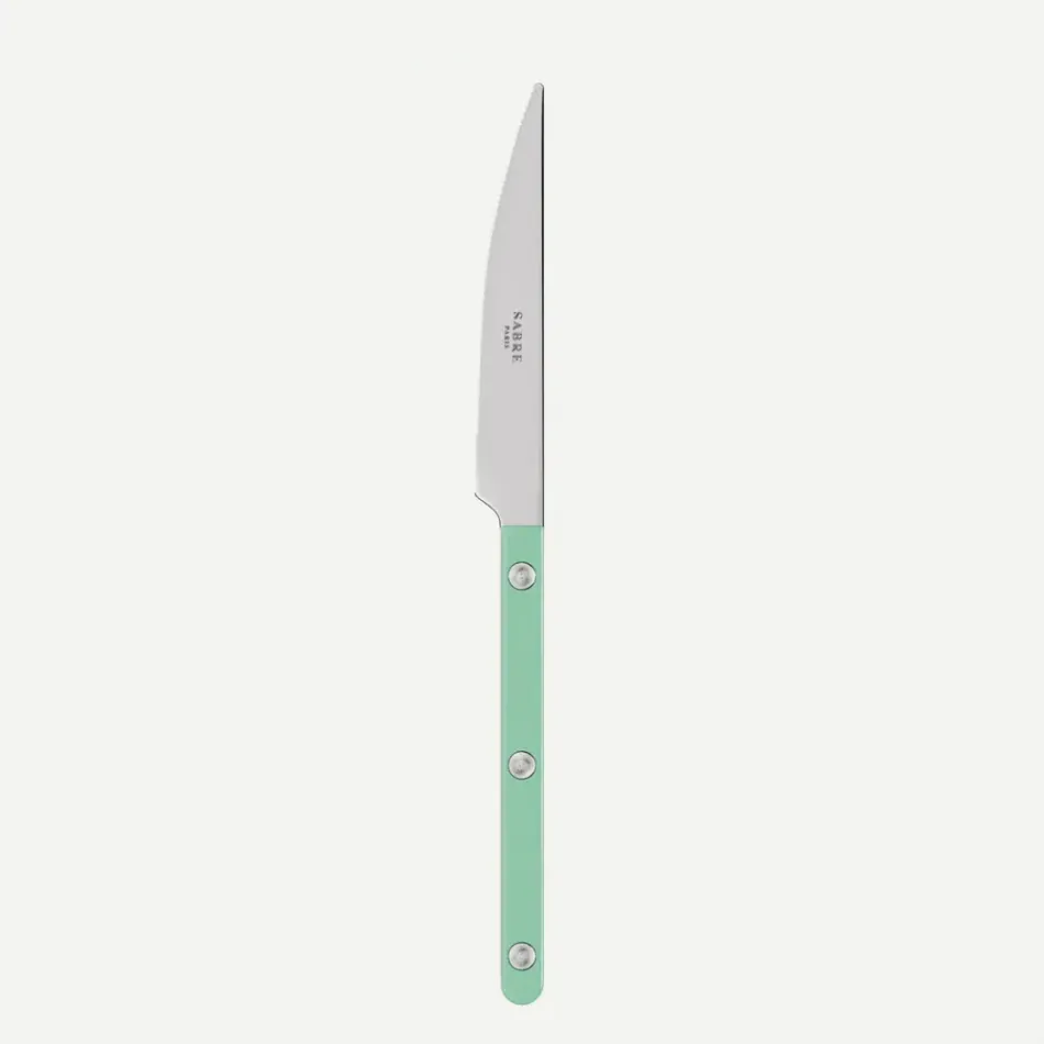 Bistrot Solid Pastel Green Dessert Knife 8"
