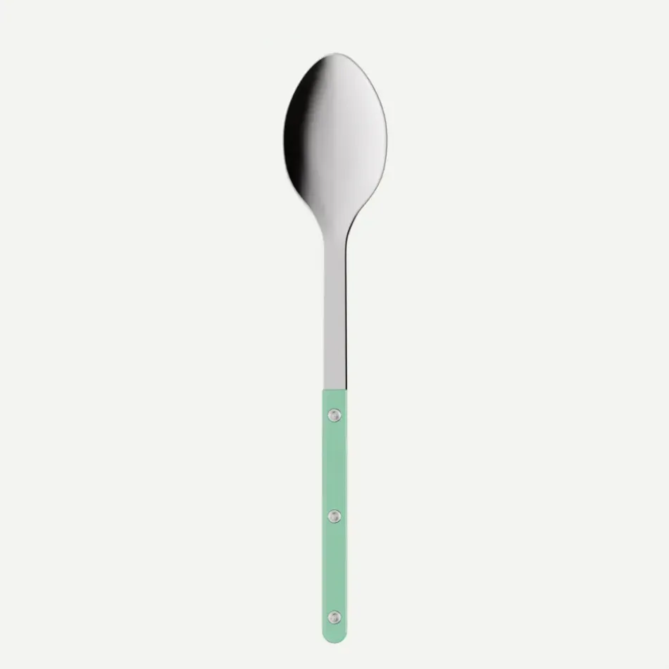 Bistrot Solid Pastel Green Serving Spoon 10"1/4