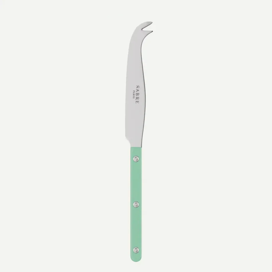 Bistrot Solid Pastel Green Cheese Knife Large 9"1/2