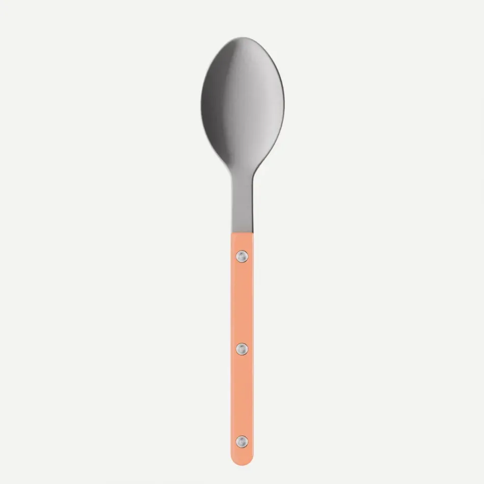 Bistrot Vintage Nude Pink Soup Spoon 8.5"