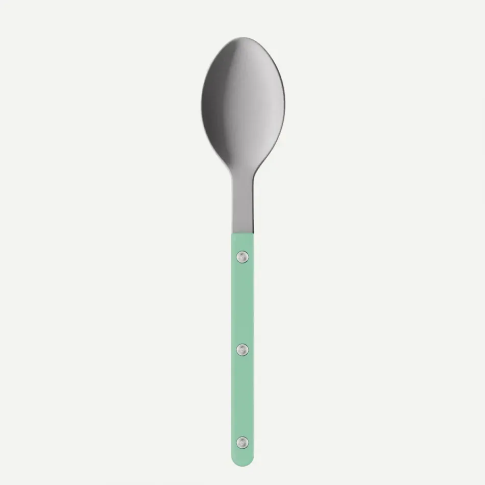 Bistrot Vintage Pastel Green Soup Spoon 8.5"