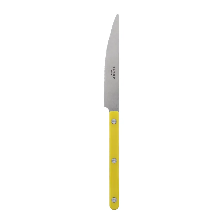 Bistrot Vintage Yellow Dinner Knife 9.25"