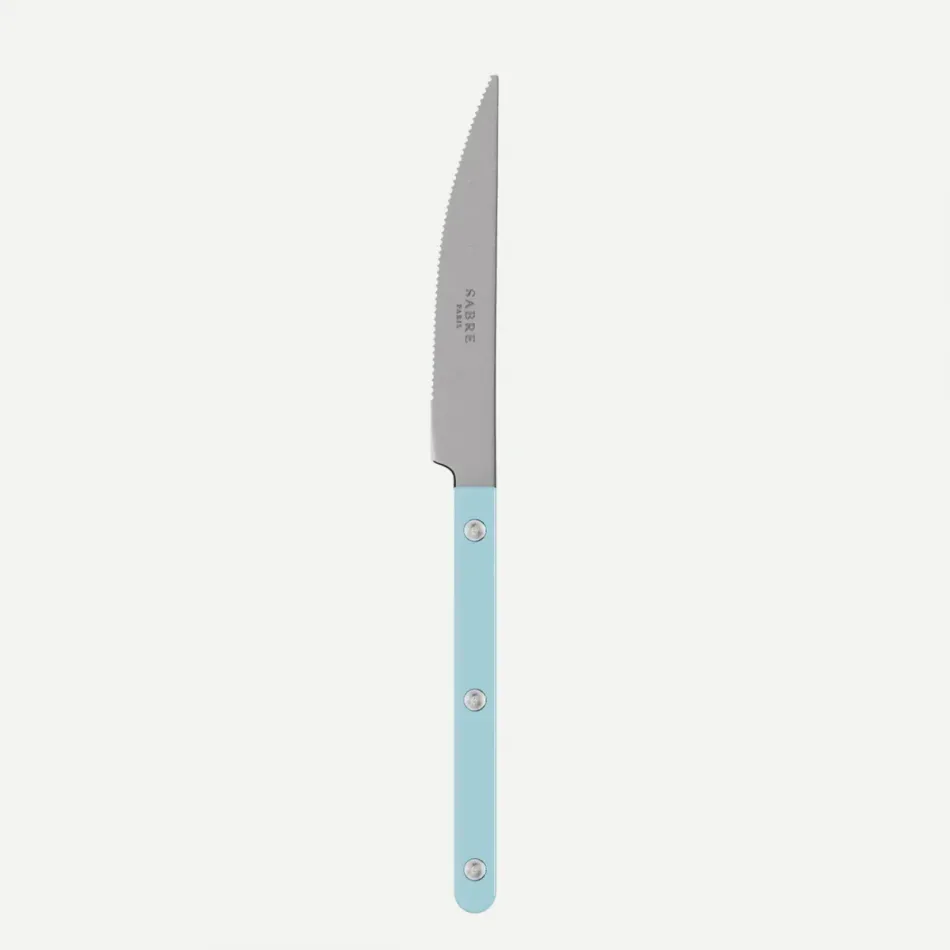 Bistrot Vintage Pastel Blue Dinner Knife 9.25"