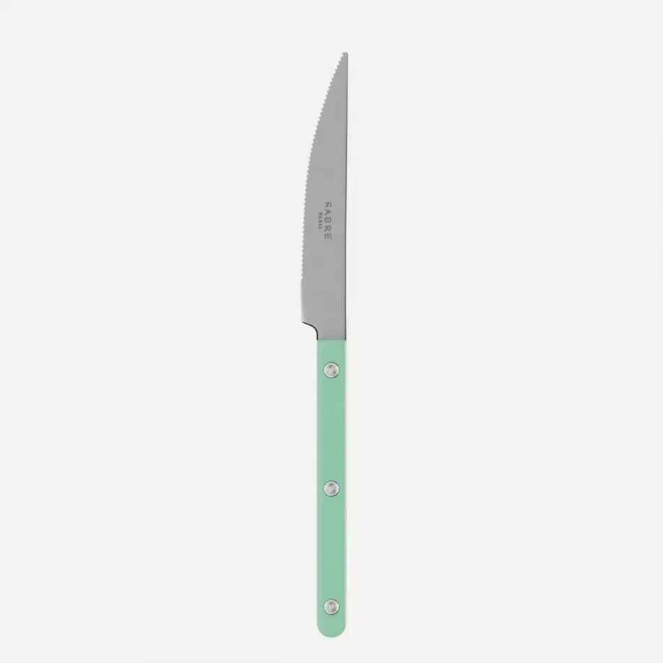 Bistrot Vintage Pastel Green Dinner Knife 9.25"