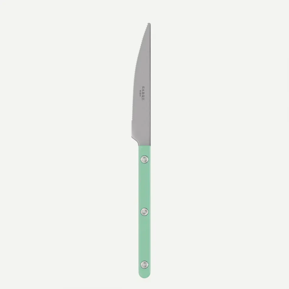 Bistrot Vintage Pastel Green Dessert Knife 8"