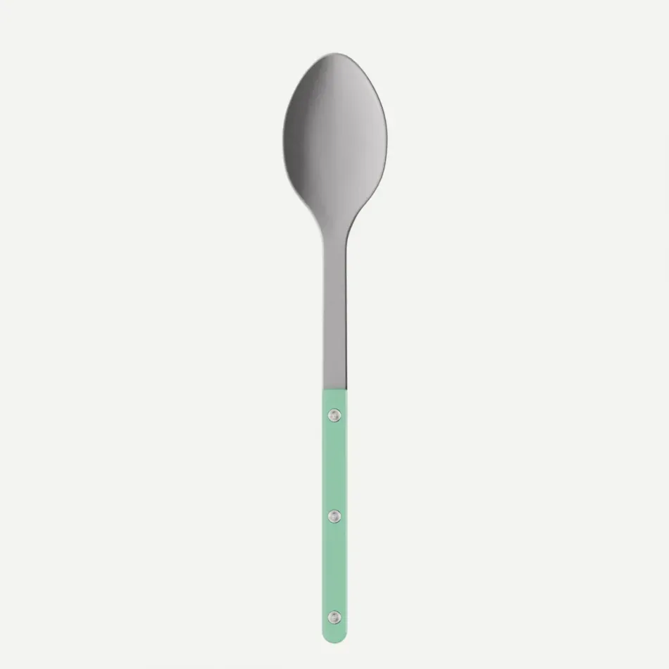 Bistrot Vintage Pastel Green Serving Spoon 10.25"