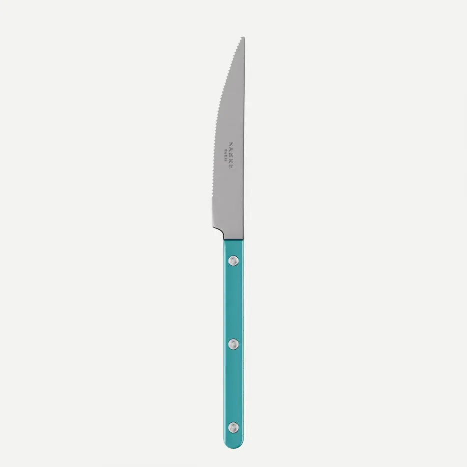 Bistrot Vintage Pearly Turquoise Dinner Knife 9.25"