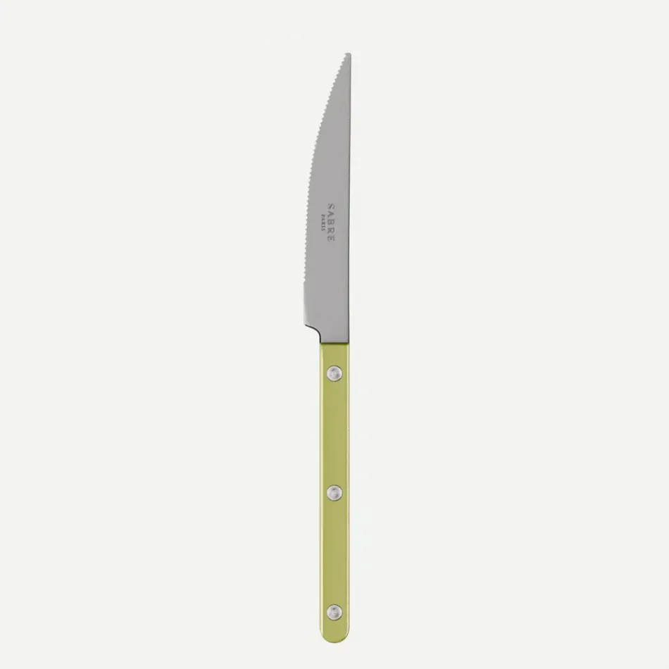 Bistrot Vintage Pearly Moss Dinner Knife 9.25"