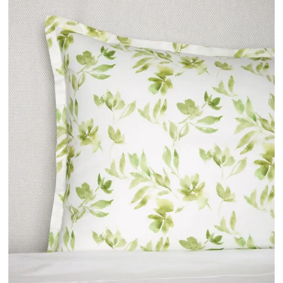 Procida King Sham 21 x 36 Kiwi