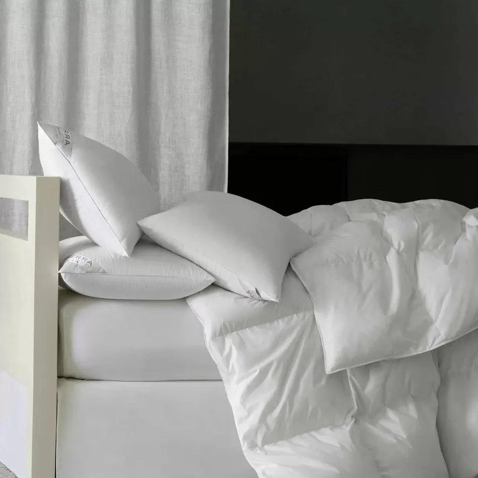 Cardigan Standard Pillow 20 x 26 16 oz Med White
