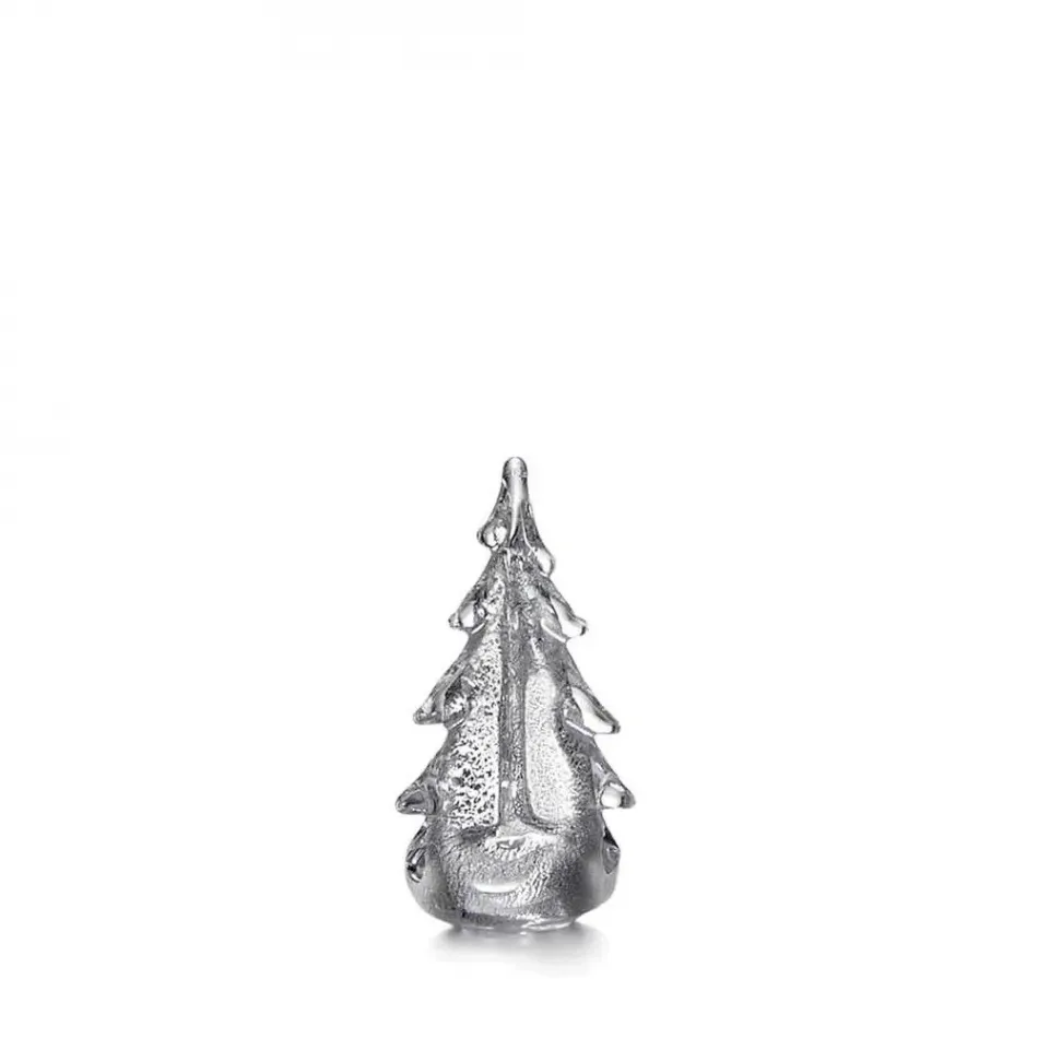 Vermont Silver Leaf Evergreen 6"