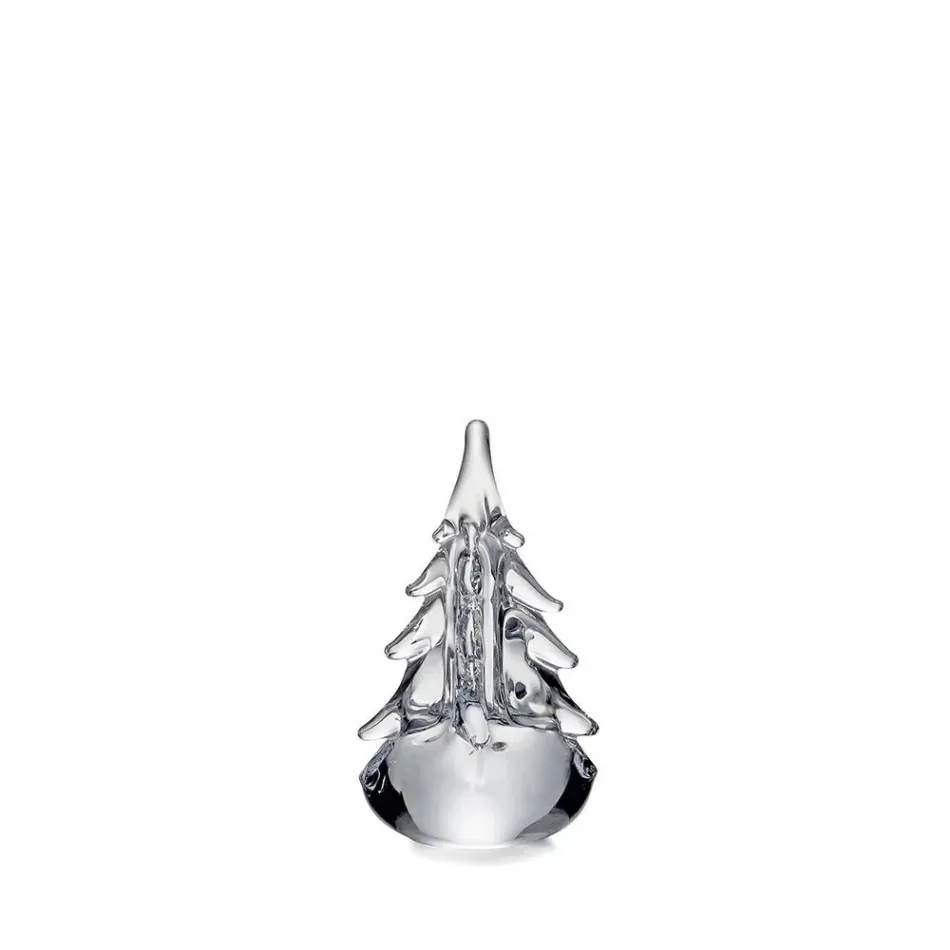 Five Sided Evergreen in Gift Box 6 Inch