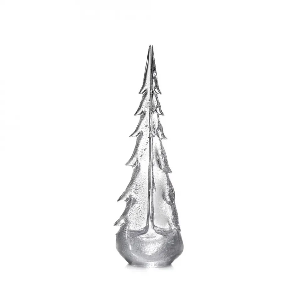 Vermont Silver Leaf Evergreen