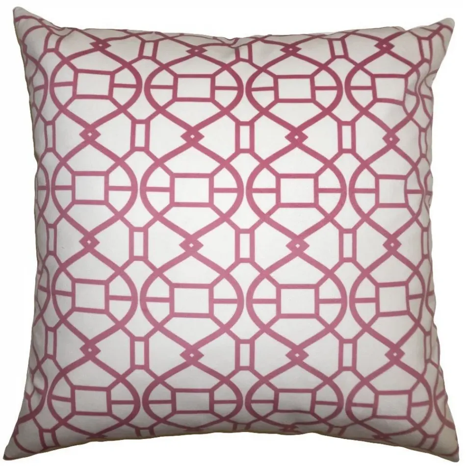 Picnic Pink Spiral 20 x 20 in Pillow