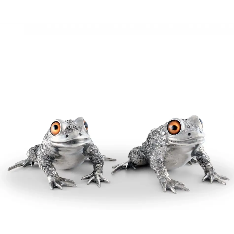 Garden Friends Toad Salt And Pepper Set